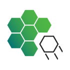 honeycomb